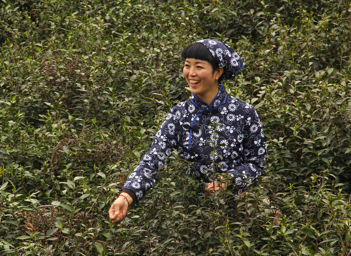 牡丹在线免费观看 热门3